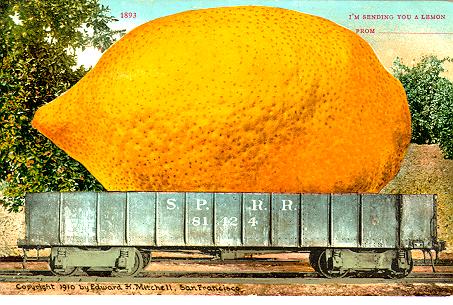 Large Navel Oranges Railroad Train Car Exaggeration SP Southern Pacific Postcard 